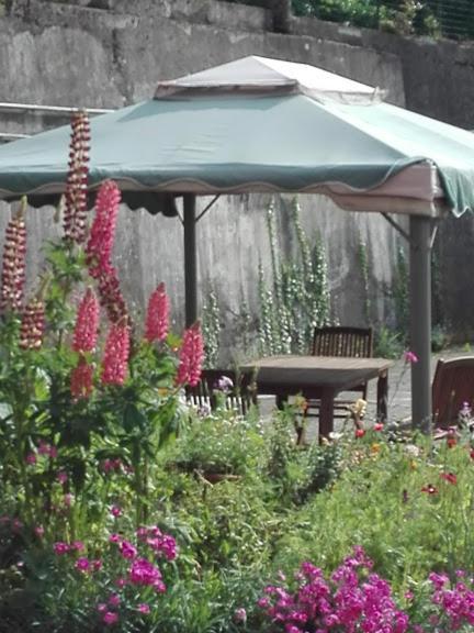 La Torretta Bed & Breakfast Torriglia Luaran gambar