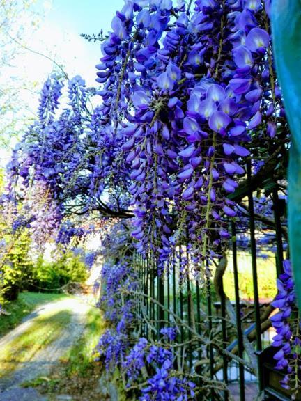 La Torretta Bed & Breakfast Torriglia Luaran gambar